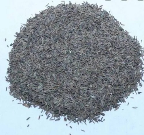 Shahijeera