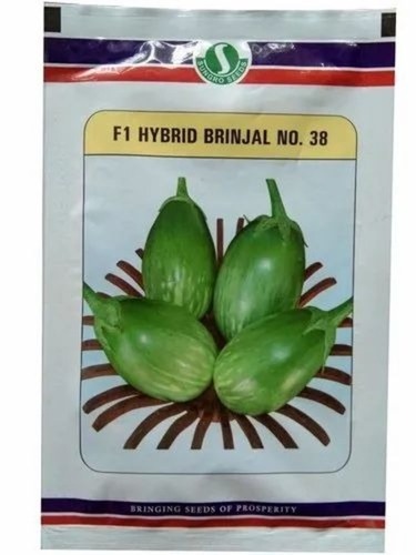 F1 Hybrid Brinjal Seeds - 10g Packet | Natural Cultivation, Grade A, 99.99% Purity