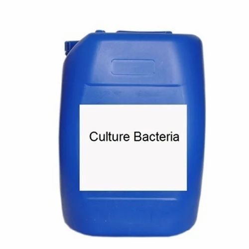 Culture Bacteria Liquid - Grade A, 100% Purity, Non-Poisonous | Ideal for Boiler Water Treatment, Shelf Life 1 Year