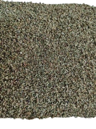 Ajwain - Whole Granule, Natural Dried, 100% Pure Quality for Healthy Food Use