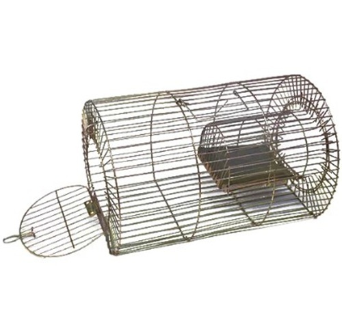 Mice Trap Cage - Iron, Customized Size, Multi Color | Effective Home Use Solution
