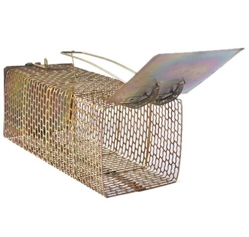 Mice Trap Cages - Iron, 28x22x14 cm Rectangle | Multi Color, Home Purpose Use