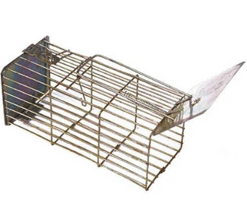 Mouse Trap Cages - Iron Material, Customized Size, Multi Color | Easy to Carry, Rectangular Shape for Home Use