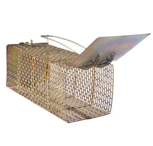 Net Rectangle Mouse Cage - Mild Steel, 26x20x10 cm, Multi Color | Ideal for Home Use, Suitable for All Mouse Sizes