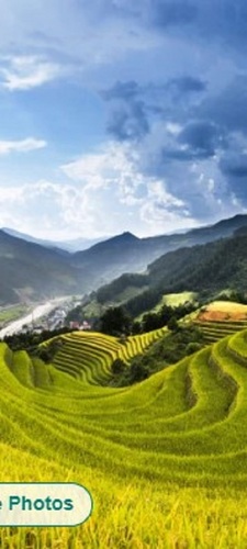 Non Woven Bedroom Wallpaper - Non Woven Material, Various Sizes Available | Waterproof, Long Lasting Finish, Easy to Install