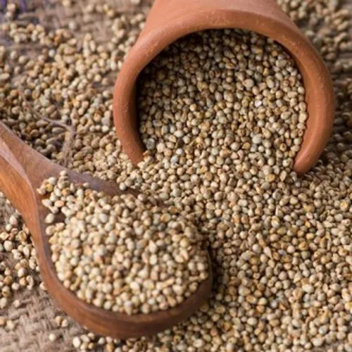Pearl Millets By Ami Enterprise
