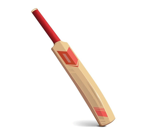 Professional Cricket Bats - Age Group: Adults