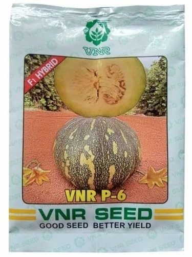 VNR P-6 Pumpkin Seeds - 10g Packet | 99.99% Purity, Natural Cultivation, Grade A Hybrid Vegetable Seeds