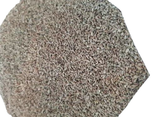 Ajwain - Fresh Natural Dried Granules, 100% Pure, Very Good Quality, Good for Health, Brown Color, Whole Granule Form, Shelf Life: 1 Year