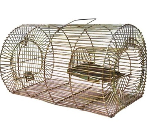 Wair Jali Large Mouse Cage - Iron, 4x20x14 cm, Multi Color | Large Sized, Rectangle Shaped, Ideal for Home Use