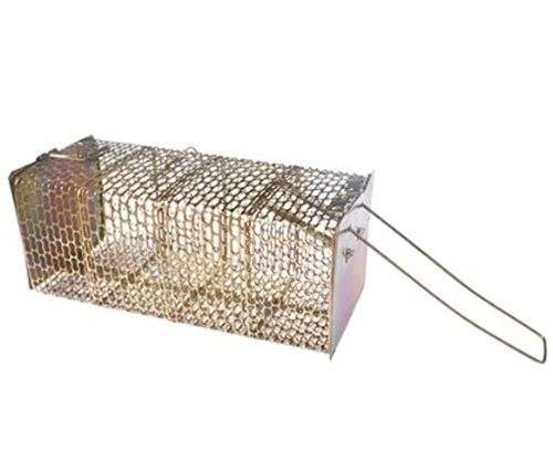 Washer Jali Mouse Cage - Iron Material, 22x20x10 cm Dimensions, Multi Color Design | Customized Size, Ideal for Home Purpose