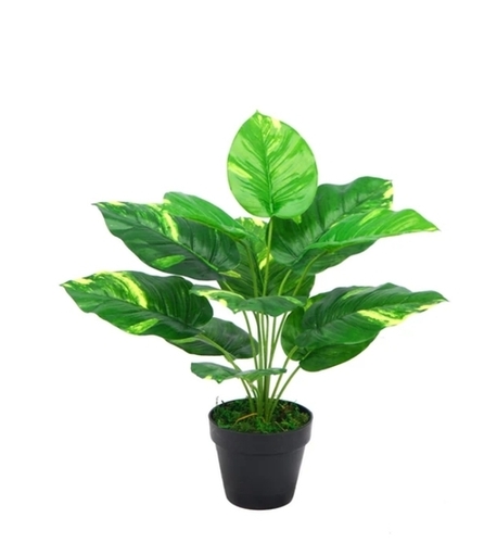 Artificial Plants