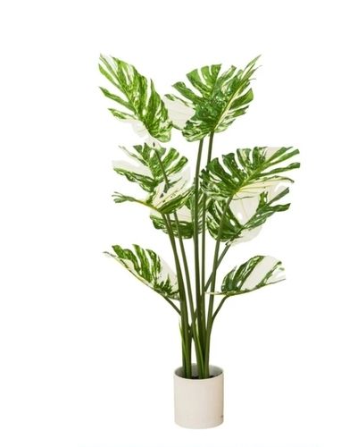 White Monstera Artificial Plant