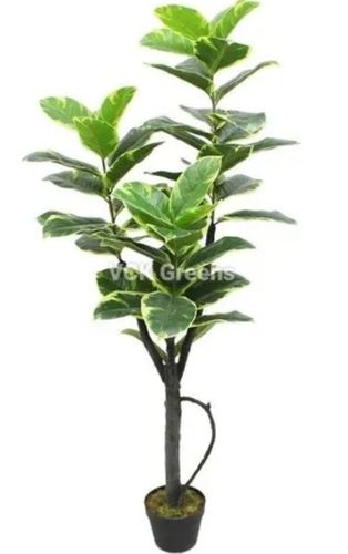 Artificial Rubber Plant For Indoor 