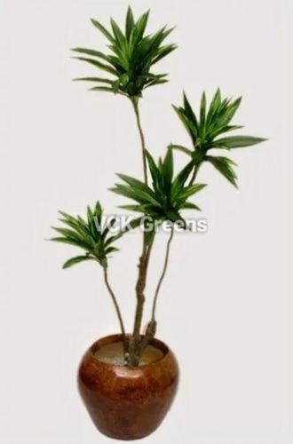 Decorative Artificial Plant