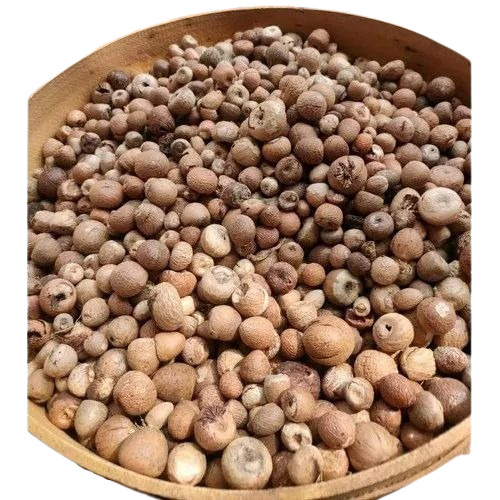 Areca Nut - 75 Kg Sack, Grade A Dried Areca Nut Supari - Common Quality, 12 Months Shelf Life