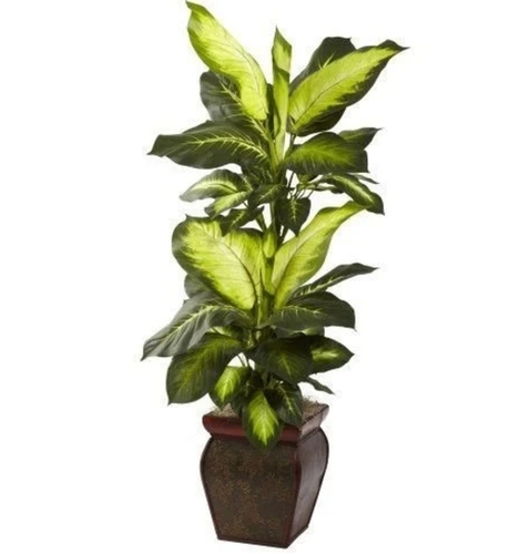 Artificial Natural Dieffenbachia Plant