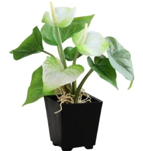 Artificial Plastic Plant - Durable Lightweight Design, Allergen-Free Versatile Decor with Long-Lasting Green and White Color, Easy to Clean
