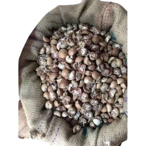 Broken Areca Nut - Dried Tablet Non Prescription Shelf Life: 12 Months | Common Cultivation Type Grade A Size: Common