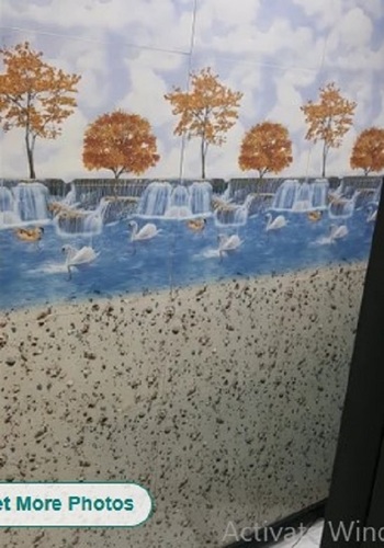 Bathroom Tiles