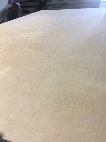 Vietnamese Birch Plywood - Core Material: Harwood