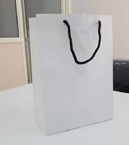White Paper Bags - Eco-Friendly Kraft Paper, Durable and Disposable for Shopping