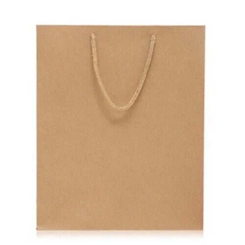 Brown Plain Paper Bag