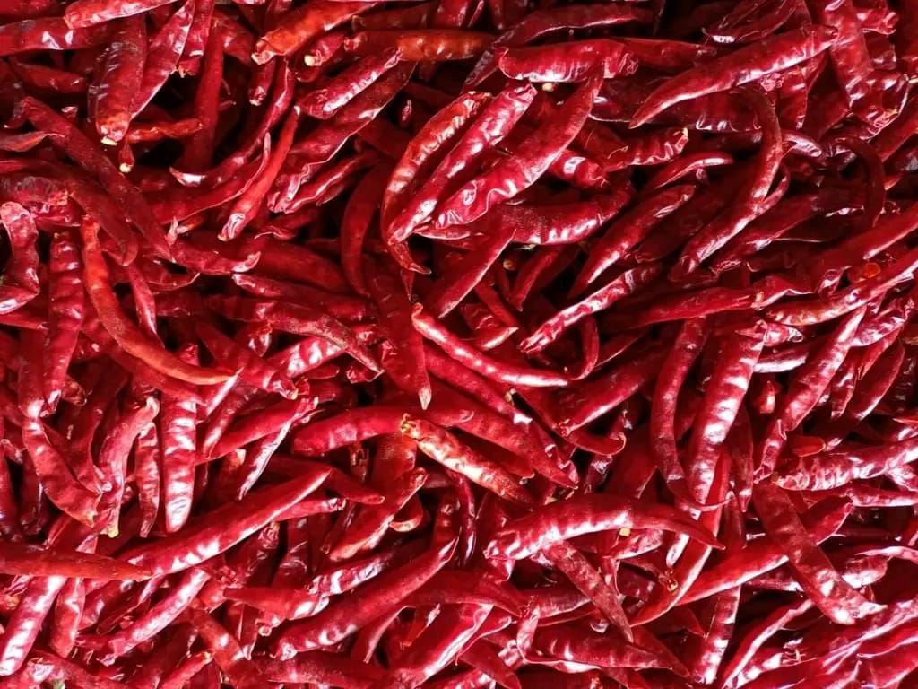 Teja Red Chilli - Grade: Culinary