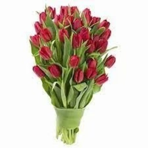 Artificial Flowers - Standard Size, Colorful Black, Green, Light Green, Light Red, Orange, Pink, Purple, White, Yellow | Eco-Friendly, Dust Resistant, Easy Washable, Coated Finish