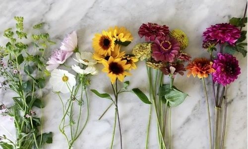 Artificial Flowers - New, Coated & Non-Coated Materials | Dust Resistant, Easy Washable, Vibrant Color Options for Decorative Use