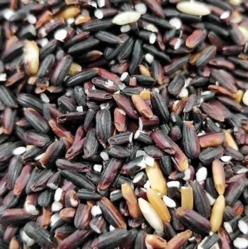 Indian Black Rice - Organic Long Grain Rice, Black Color, 100% Purity | Gluten Free, High In Protein, No Genetic Engineering, FSSAI Certified