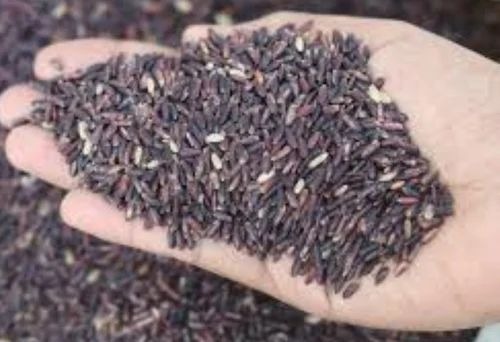 Organic Black Rice - Long Grain Dried, 100% Purity | Gluten Free, High In Protein, No Genetic Engineering, No Preservatives, FSSAI Certified