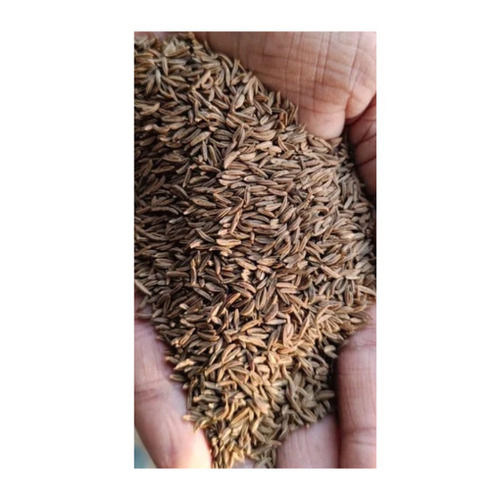 Caraway Seeds