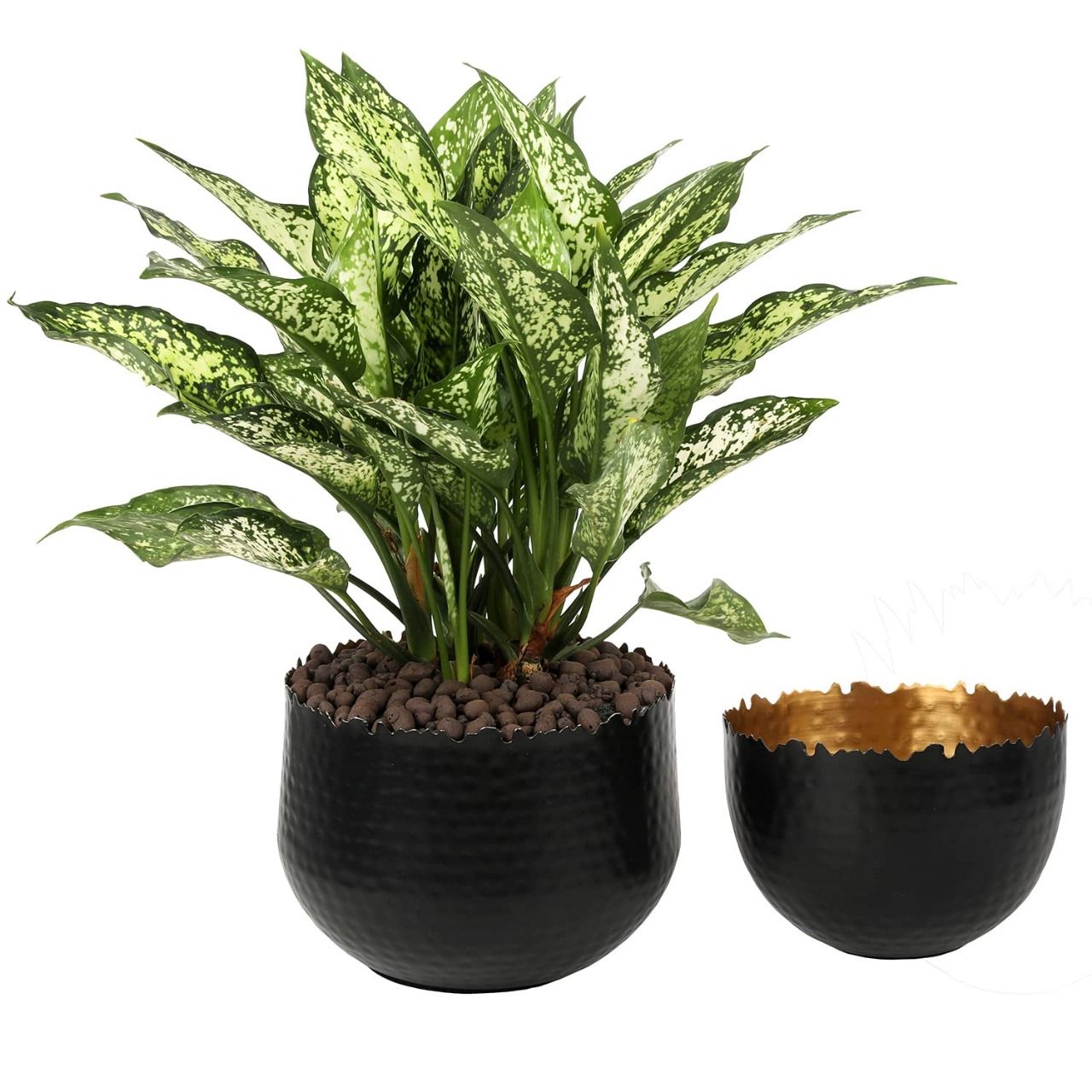 Matte Black Metal Indoor Plant Pot