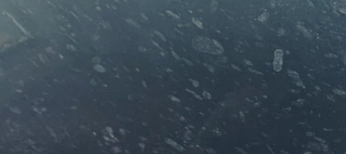Rajasthan Pearl Black Granite Slab - 18 mm Thickness, Polished Surface Finish, Scratch Resistant, Ideal for Flooring Applications