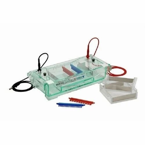 Horizontal Gel Electrophoresis Apparatus