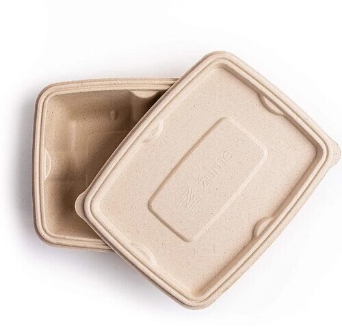 Disposable Bagasse Container