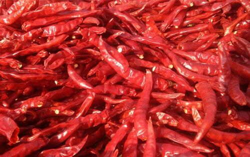 Dry Red Chilli - Premium Quality, Good Condition | Spicy Heat, Vibrant Red Color, Rich In Capsaicin, Good Source Of Vitamins, Antioxidant Properties, Versatile Culinary Use, Enhances Food Aroma