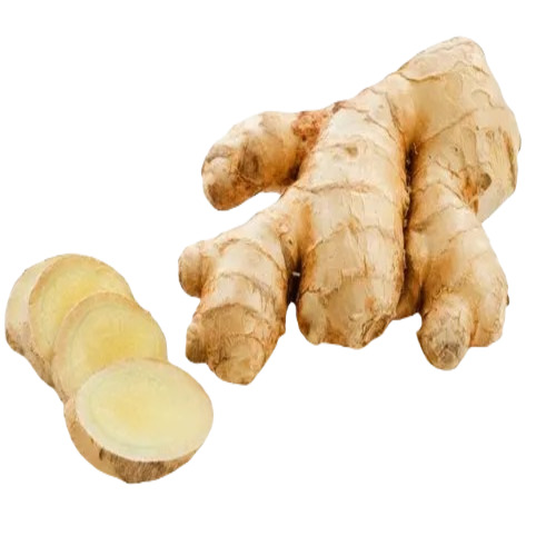 Organic Fresh Ginger - Raw, 1-Year Shelf Life | Perfect for Culinary Uses