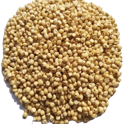 Dried Jowar - Whole Lentils, Brown Organic Pulses with 8 Months Shelf Life