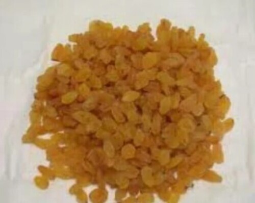 Organic Golden Grade Aa Raisins - Natural Size, Sweet Taste | Healthy Snack Option