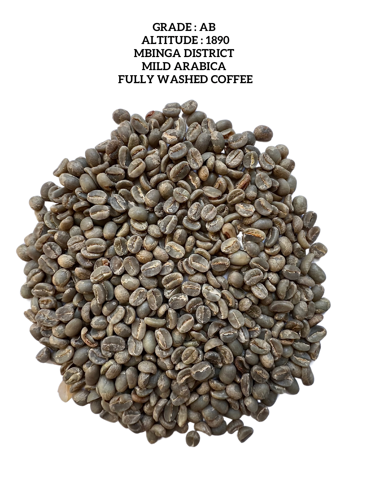 Green Bean Coffee