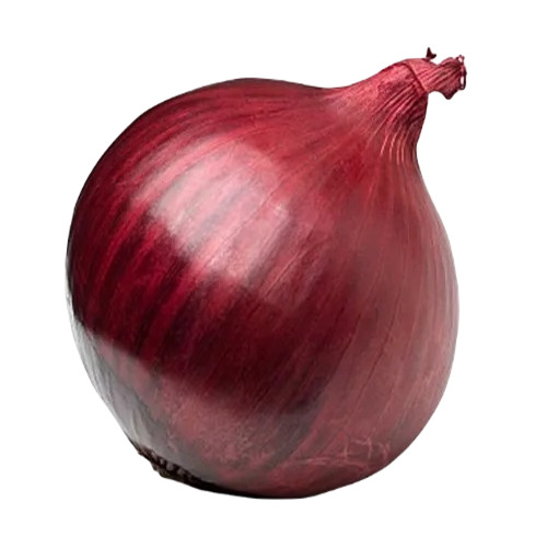 Red Onion - Organic Fresh Variety | Round Shape, 3 Days Shelf Life, Raw Processing Form