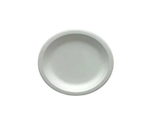 White Round Disposable Plate