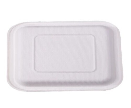 White Square Disposable Plate