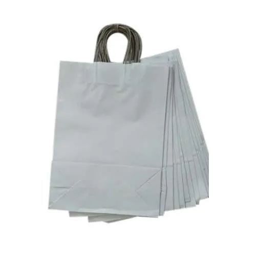 White Paper Carry Bag - 13.5 x 6 x 11 Inch | Premium Quality, Biodegradable, Vibrant Prints, Durable Handles, Moisture Proof, Lightweight, Recyclable