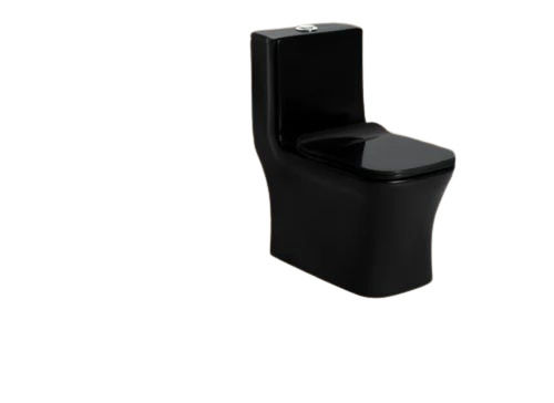 Black Toilet Seat