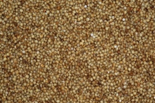 Foxtail Millet Flour - 1 Kilogram Packet | Gluten-Free, High Fiber, Protein-Rich, Nutrient-Dense, Energy-Boosting, Versatile Cooking Aid