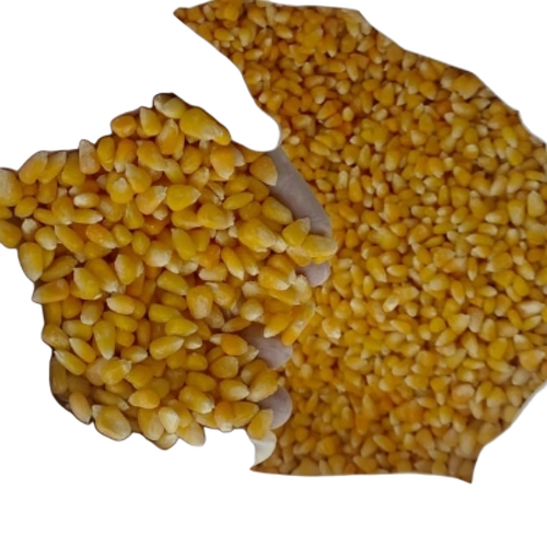 Frozen Sweet Corn