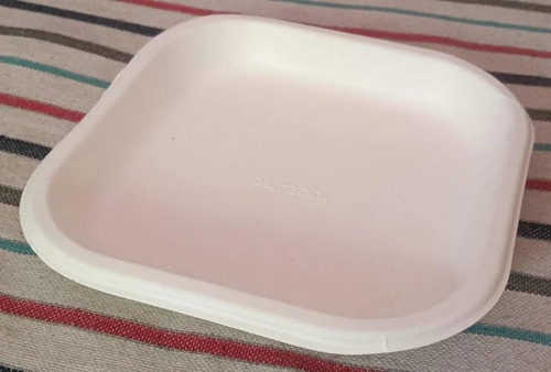 Sugarcane Bagasse Disposable Plates - White, Eco Friendly | Event and Party Supplies, Made from Sustainable Sugarcane Fiber